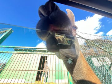 岩手サファリパークに投稿された画像（2024/12/15）