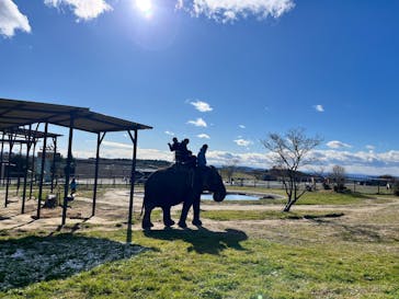 岩手サファリパークに投稿された画像（2024/12/15）