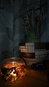 ドライフラワーと暮らしのお店 その灯ぐらし 猫洞店に投稿された画像（2024/12/15）