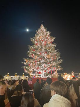 Christmas Market in 横浜赤レンガ倉庫 2025に投稿された画像（2024/12/15）