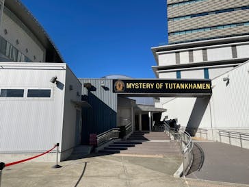 MYSTERY OF TUTANKHAMEN 体感型古代エジプト展に投稿された画像（2024/12/15）