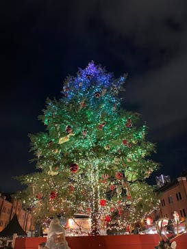 Christmas Market in 横浜赤レンガ倉庫 2025に投稿された画像（2024/12/14）