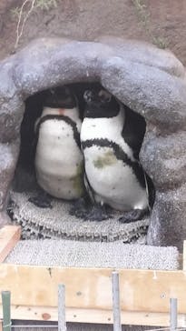 サンシャイン水族館に投稿された画像（2024/12/15）