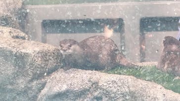 サンシャイン水族館に投稿された画像（2024/12/15）