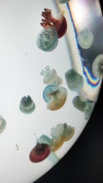 サンシャイン水族館に投稿された画像（2024/12/15）