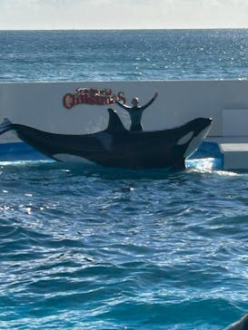 鴨川シーワールドに投稿された画像（2024/12/16）