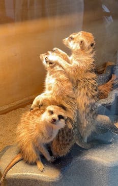 那須どうぶつ王国に投稿された画像（2024/12/16）