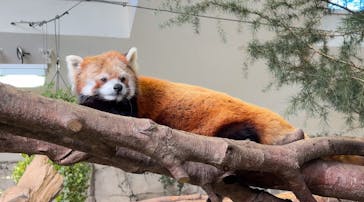 那須どうぶつ王国に投稿された画像（2024/12/16）