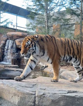 那須どうぶつ王国に投稿された画像（2024/12/16）