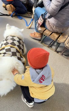 那須どうぶつ王国に投稿された画像（2024/12/16）