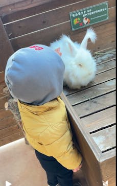 那須どうぶつ王国に投稿された画像（2024/12/16）