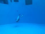 名古屋港水族館に投稿された画像（2024/12/16）
