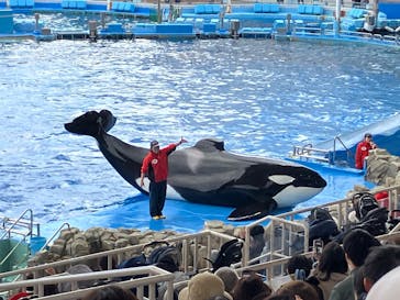 名古屋港水族館に投稿された画像（2024/12/16）