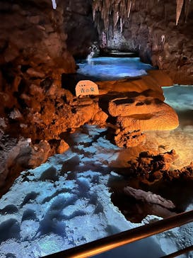 おきなわワールドに投稿された画像（2024/12/16）