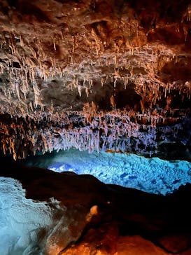 おきなわワールドに投稿された画像（2024/12/16）