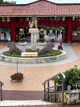 おきなわワールドに投稿された画像（2024/12/16）