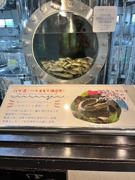 おきなわワールドに投稿された画像（2024/12/16）