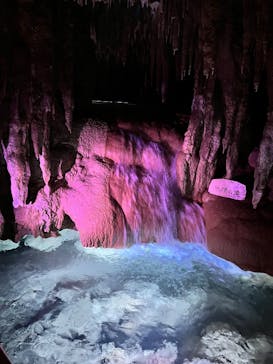 おきなわワールドに投稿された画像（2024/12/16）