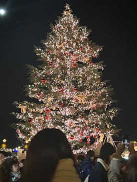 Christmas Market in 横浜赤レンガ倉庫 2025に投稿された画像（2024/12/16）