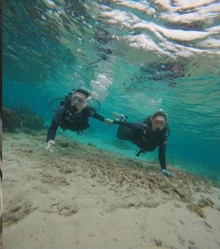 武藤潜水に投稿された画像（2024/12/16）