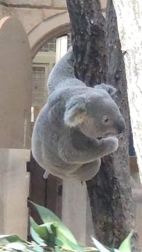 名古屋市東山動植物園に投稿された画像（2024/12/16）