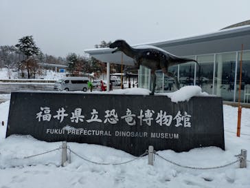 福井県立恐竜博物館に投稿された画像（2024/12/16）