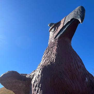 伊豆シャボテン動物公園に投稿された画像（2024/12/16）