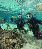 沖縄マリンサービス碧に投稿された画像（2024/12/16）