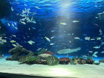 サンシャイン水族館に投稿された画像（2024/12/16）