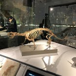 福井県立恐竜博物館に投稿された画像（2024/12/16）