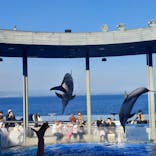 大分マリーンパレス水族館 「うみたまご」に投稿された画像（2024/12/16）