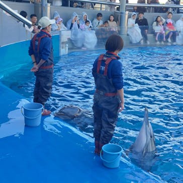 大分マリーンパレス水族館 「うみたまご」に投稿された画像（2024/12/16）