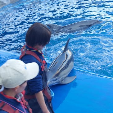 大分マリーンパレス水族館 「うみたまご」に投稿された画像（2024/12/16）