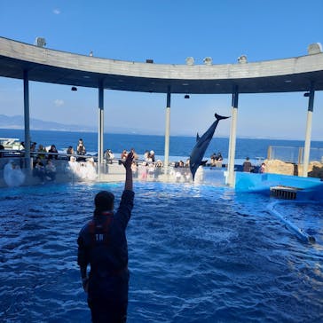 大分マリーンパレス水族館 「うみたまご」に投稿された画像（2024/12/16）