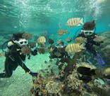 沖縄マリンサービス碧に投稿された画像（2024/12/16）