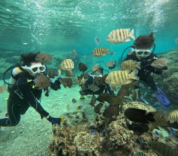 沖縄マリンサービス碧に投稿された画像（2024/12/16）