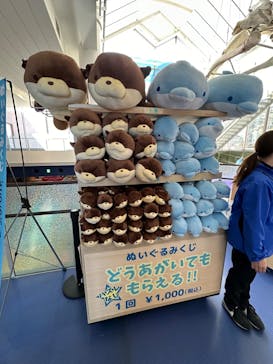 アクアワールド茨城県大洗水族館に投稿された画像（2024/12/16）