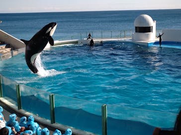 鴨川シーワールドに投稿された画像（2024/12/16）