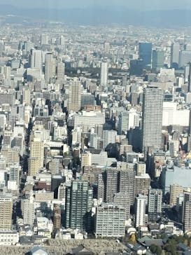 ハルカス300(展望台)に投稿された画像（2024/12/16）