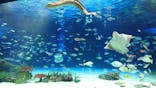 サンシャイン水族館に投稿された画像（2024/12/16）