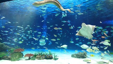サンシャイン水族館に投稿された画像（2024/12/16）