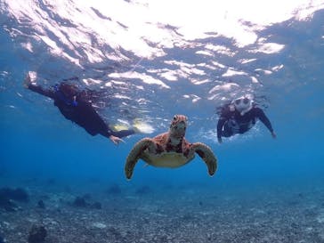 初心者専門マリンサービスサンフィッシュ石垣島に投稿された画像（2024/12/16）