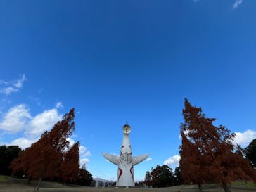 ラーメンEXPO×万博記念公園に投稿された画像（2024/12/16）