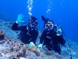Step海ダイバーズ・スクール宮古島に投稿された画像（2024/12/16）