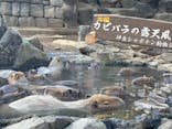 伊豆シャボテン動物公園に投稿された画像（2024/12/16）