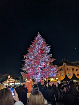 Christmas Market in 横浜赤レンガ倉庫 2025に投稿された画像（2024/12/16）