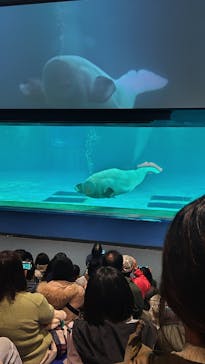 鴨川シーワールドに投稿された画像（2024/12/16）