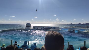 鴨川シーワールドに投稿された画像（2024/12/16）