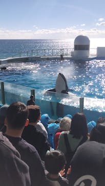 鴨川シーワールドに投稿された画像（2024/12/16）