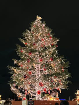 Christmas Market in 横浜赤レンガ倉庫 2025に投稿された画像（2024/12/16）